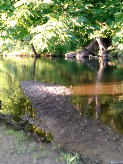 Barren Springs - Barren Springs, VA