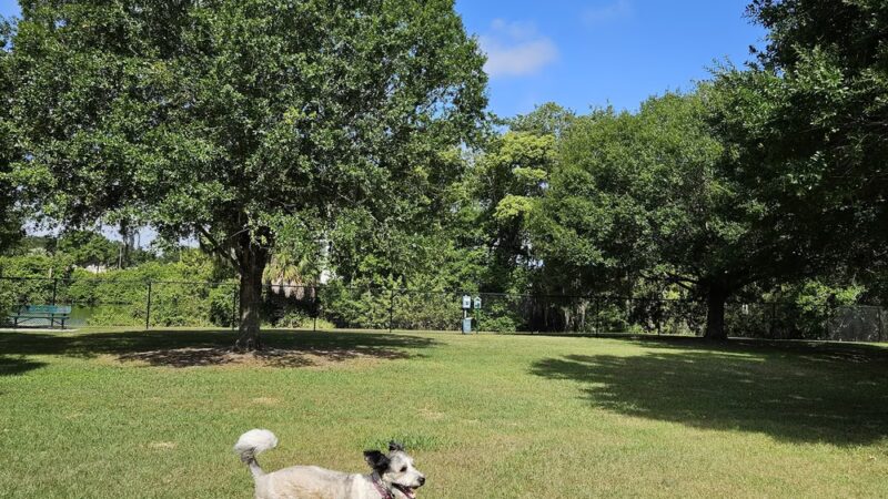 Bartow Dog Park - Bartow, FL