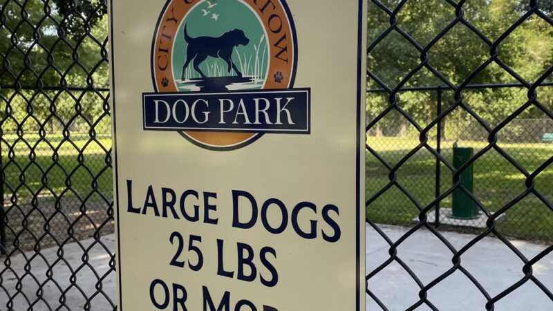 Bartow Dog Park - Bartow, FL