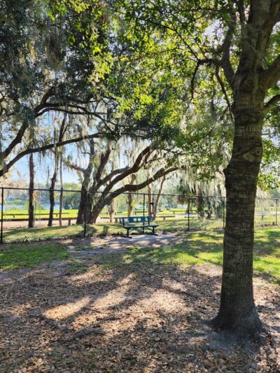 Bartow Dog Park - Bartow, FL