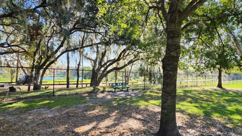 Bartow Dog Park - Bartow, FL
