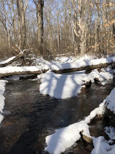 Dunham Park Indoor Pavillion - Basking Ridge, NJ