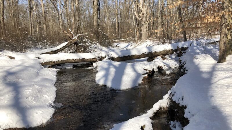 Dunham Park Indoor Pavillion - Basking Ridge, NJ