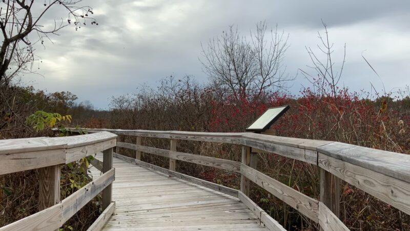 Environmental Education Center - Basking Ridge, NJ