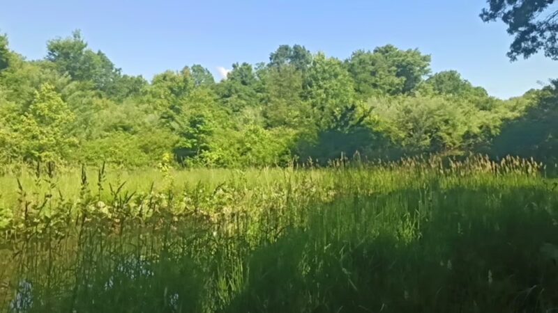 Environmental Education Center - Basking Ridge, NJ