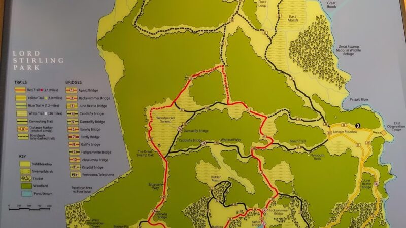 Environmental Education Center - Basking Ridge, NJ