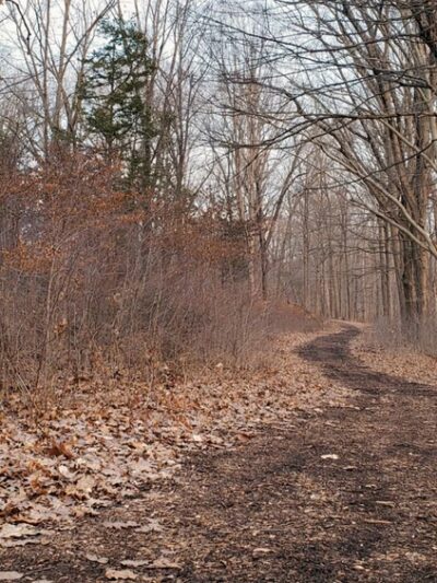 Sons of Liberty Farm - Basking Ridge, NJ