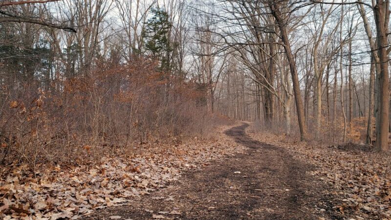 Sons of Liberty Farm - Basking Ridge, NJ