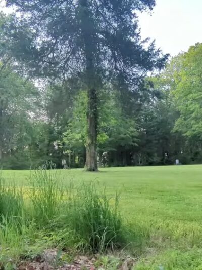 Sons of Liberty Farm - Basking Ridge, NJ