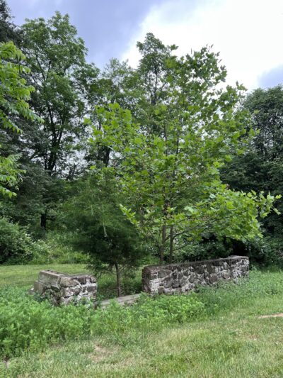 Sons of Liberty Farm - Basking Ridge, NJ