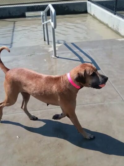 Burbank Soccer Complex - Baton Rouge, LA