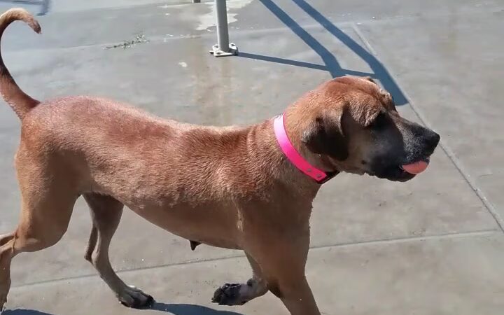 Burbank Soccer Complex - Baton Rouge, LA