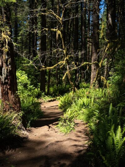 Bells Mountain Trailhead - Battle Ground, WA