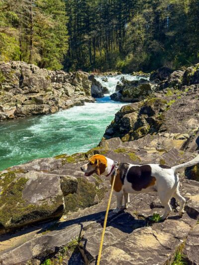 Bells Mountain Trailhead - Battle Ground, WA
