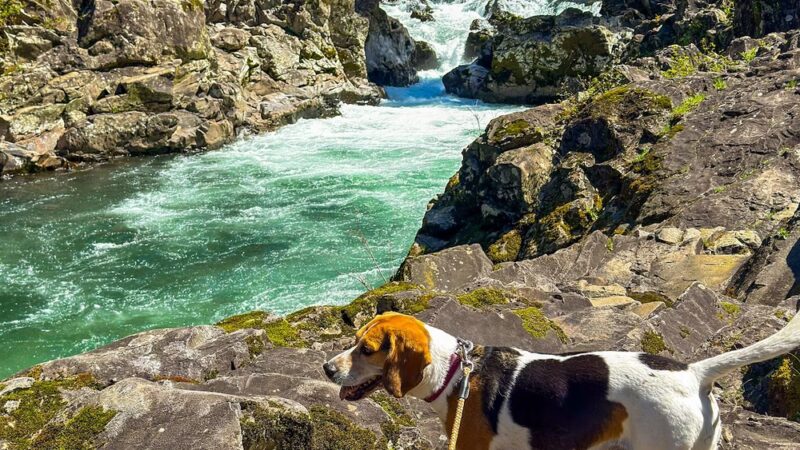 Bells Mountain Trailhead - Battle Ground, WA