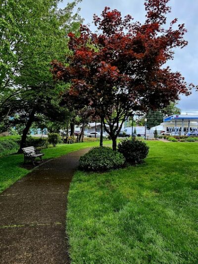 Central Park - Battle Ground, WA