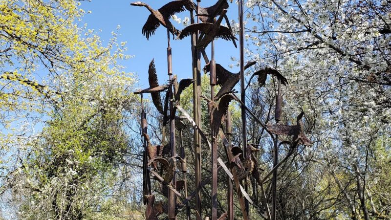 Central Park - Battle Ground, WA