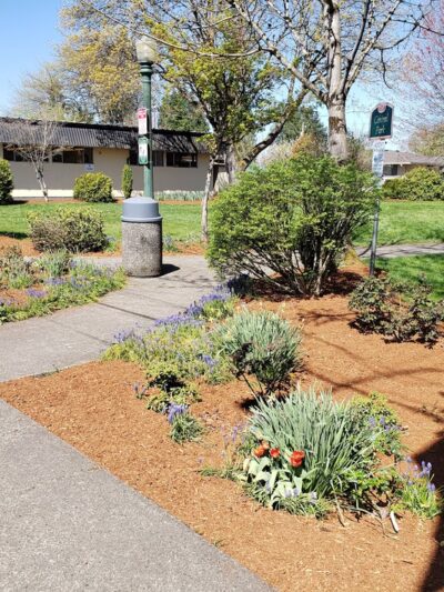 Central Park - Battle Ground, WA