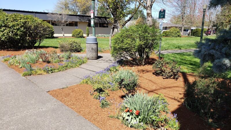 Central Park - Battle Ground, WA