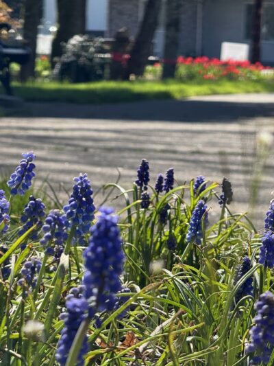 Central Park - Battle Ground, WA