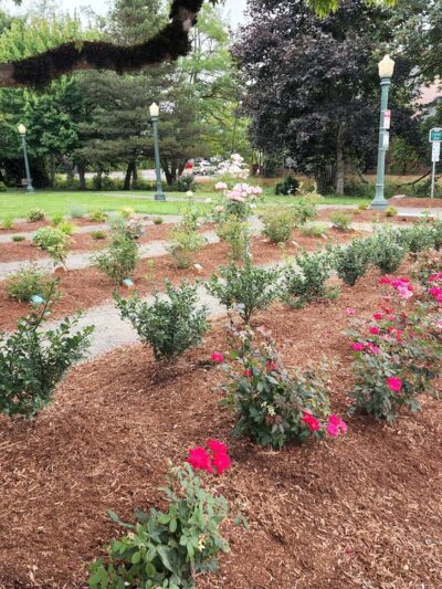 Central Park - Battle Ground, WA