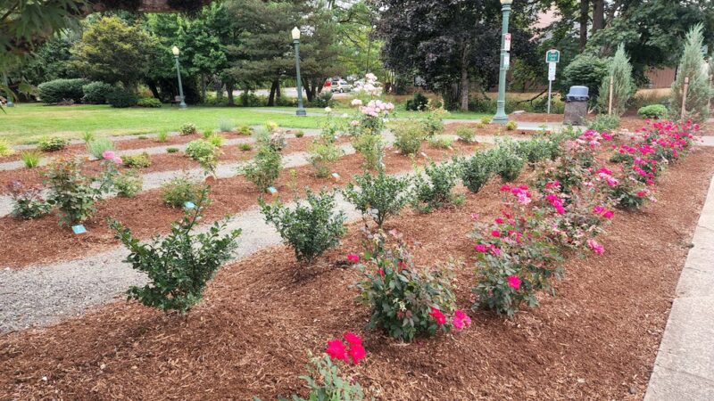 Central Park - Battle Ground, WA