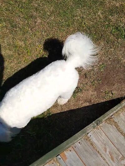 Barkway Dog Park - Bay City, TX