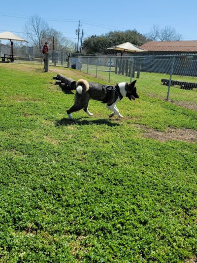 Barkway Dog Park - Bay City, TX