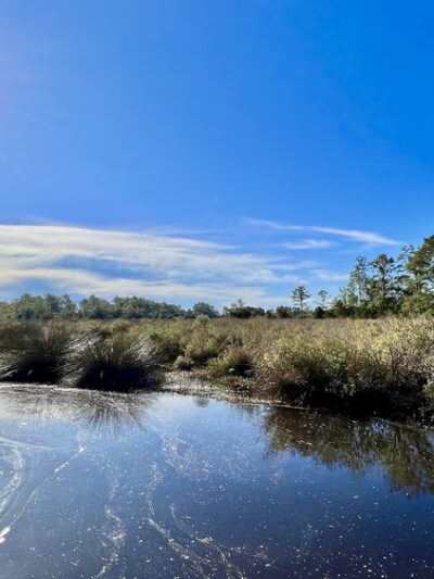 Joe Himbry Waterfront Park - Bayboro, NC