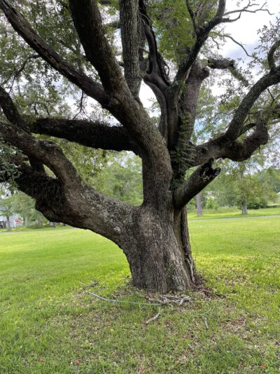 Bosarge Park - Bayou La Batre, AL