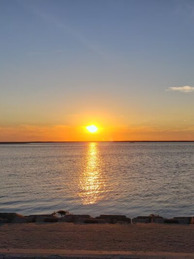 Beach Haven Doggy Bay - Beach Haven, NJ
