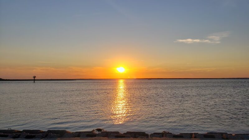 Beach Haven Doggy Bay - Beach Haven, NJ