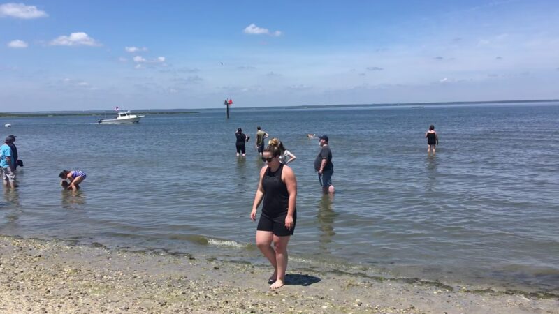 Beach Haven Doggy Bay - Beach Haven, NJ