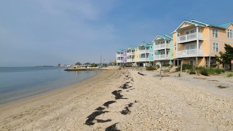 Beach Haven Doggy Bay - Beach Haven, NJ