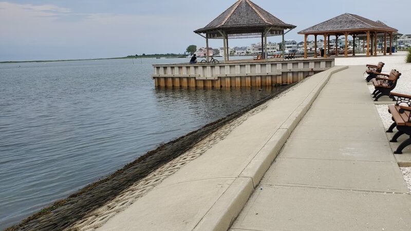 Beach Haven Doggy Bay - Beach Haven, NJ