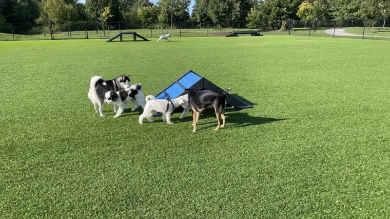 Barkwood Dog Park - Beachwood, OH
