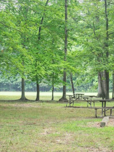 Owens Local Park - Beallsville, MD