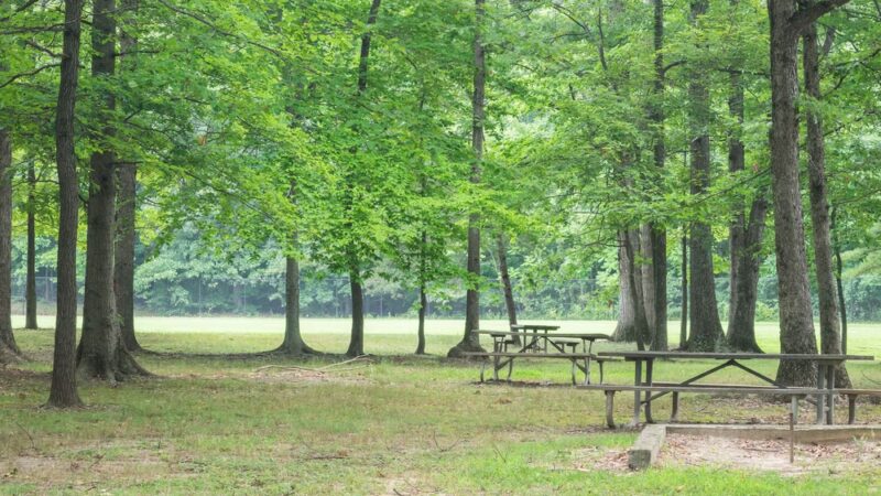 Owens Local Park - Beallsville, MD