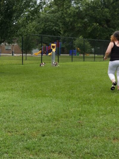 Ida Reed Dog Park - Beaumont, TX