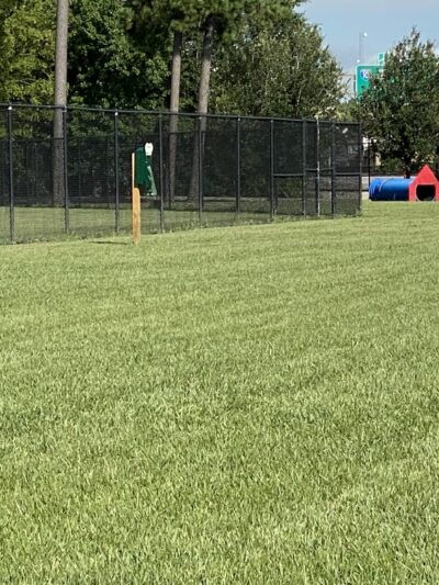 Ida Reed Dog Park - Beaumont, TX