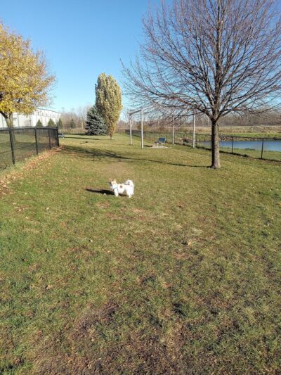Beaver Dam Small Dog Park - Beaver Dam, WI