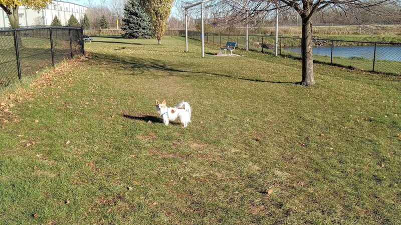 Beaver Dam Small Dog Park - Beaver Dam, WI