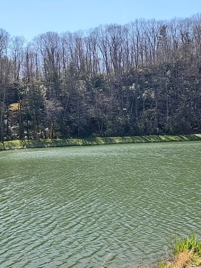 Fitzpatrick Park - Beckley, WV