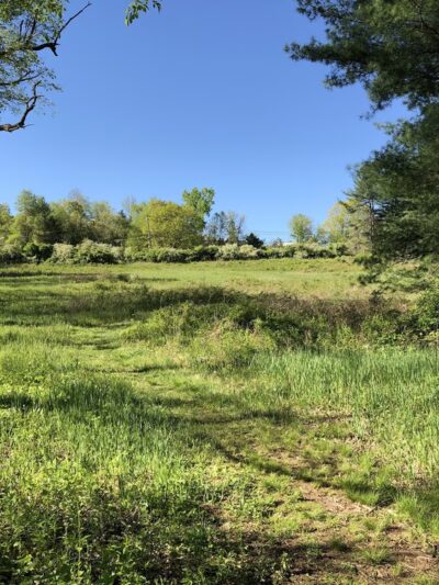 Beaver Dam Park - Bedford Hills, NY