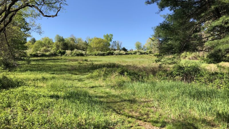 Beaver Dam Park - Bedford Hills, NY