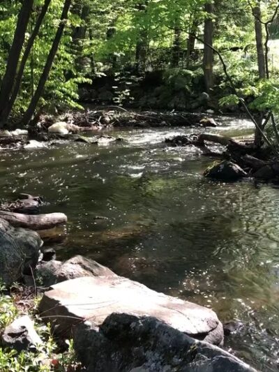Beaver Dam Park - Bedford Hills, NY