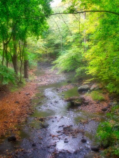 Beaver Dam Park - Bedford Hills, NY