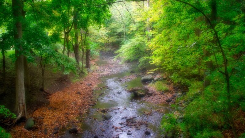 Beaver Dam Park - Bedford Hills, NY
