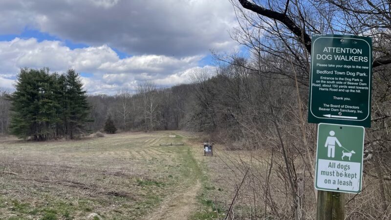 Beaver Dam Park - Bedford Hills, NY