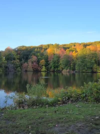 Bedford Hills Memorial Park - Bedford Hills, NY